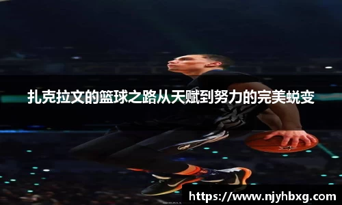 DB视讯