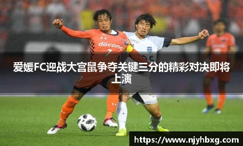 DB视讯平台DB视讯官方网站