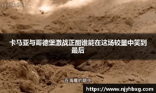 卡马亚与哥德堡激战正酣谁能在这场较量中笑到最后